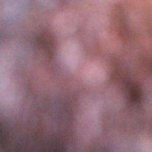 Meet your Posher, Destiny